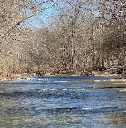 Cedar Creek picture